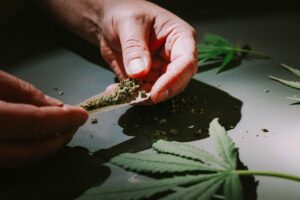 Michigan Cannabis Market Trends This Year: What’s Driving the Industry in 2026?
